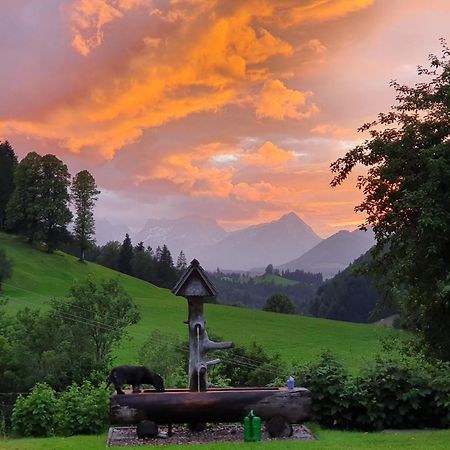 Biobauernhof Schoettelbauer Rosenau am Hengstpass Bagian luar foto
