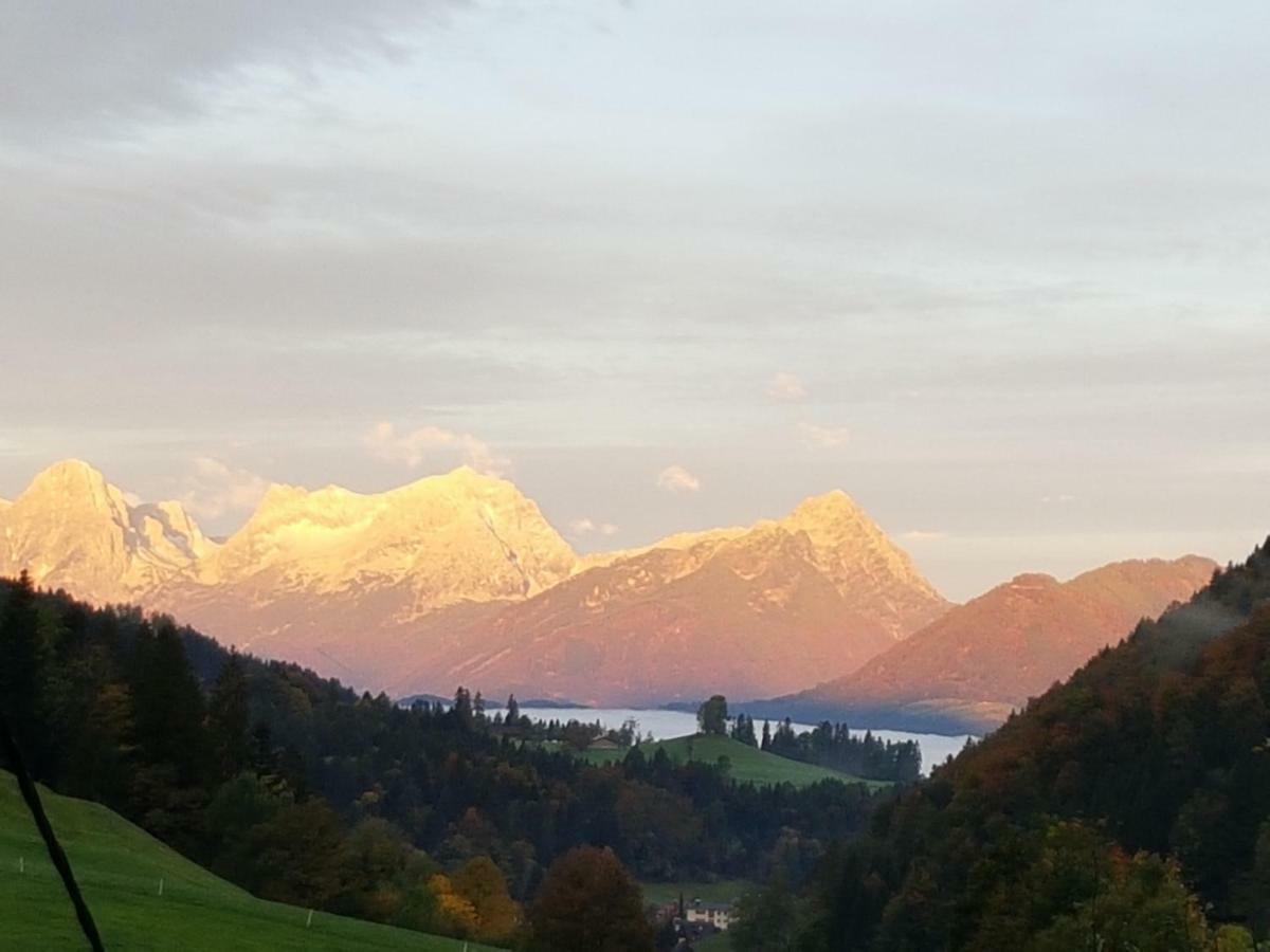 Biobauernhof Schoettelbauer Rosenau am Hengstpass Bagian luar foto